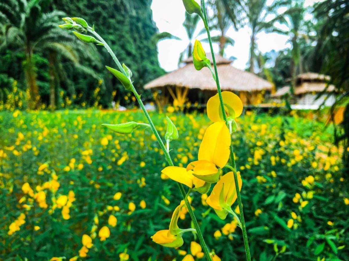 Khaosok Boutique Hideaway Hotel Phanom Ngoại thất bức ảnh
